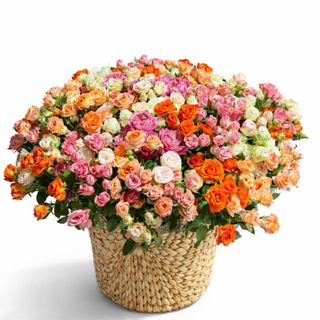 51 spray roses bouquet in a basket