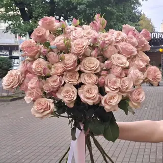 Spray rose