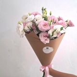 ეუსტომა/ Eustoma