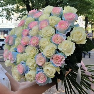 51 White and colored roses