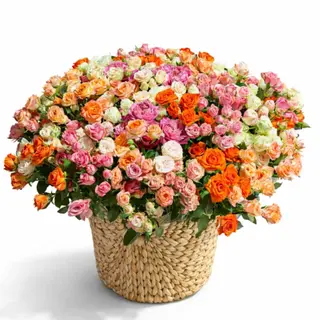 101 spray roses bouquet in a basket
