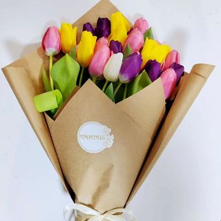 25 ფერადი ტიტა