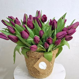 31 ტიტა კალათში