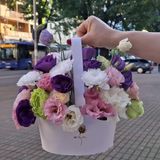 Eustoma of different colors
