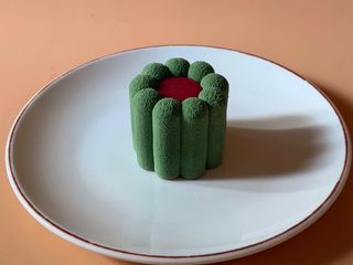 მაგნუსი