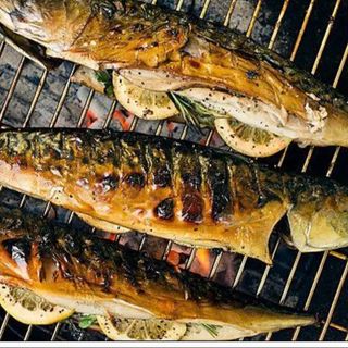 სკუმბრია მაყალზე 1ც