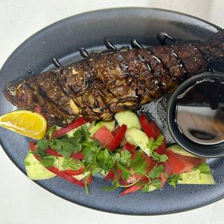 კალმახი / Trout