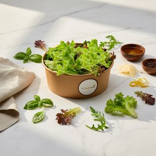 ჩი მარტოხელა სალათი