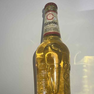 ლუდი ჰერცოგი