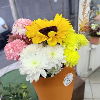 მხიარული ფერები