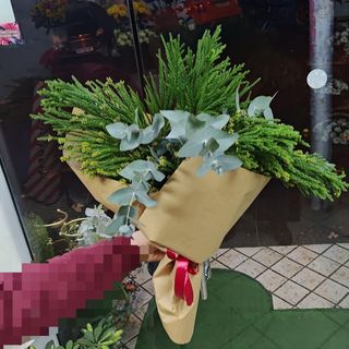 Winter Fresh Greenery