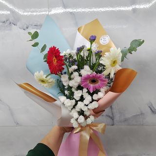 გერბერა