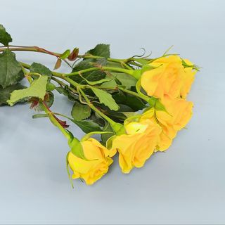 Yellow Spray Rose