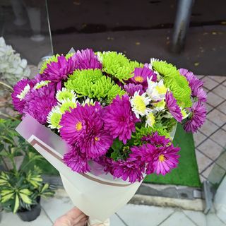 ვიოლეტა & ლაიმი 