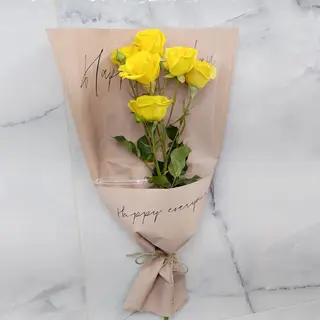 მზის ჩიტი ☀️