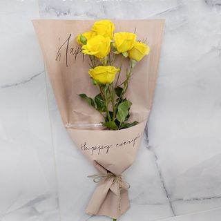 მზის ჩიტი ☀️