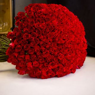 301 Premium Roses