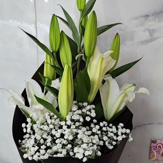 თეთრი ლილია