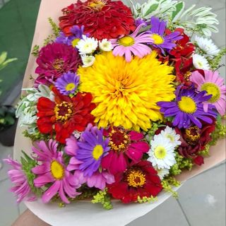 სასკოლო ბუკეტები