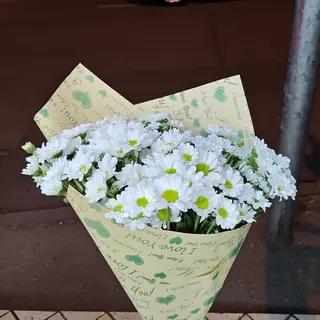 გვირილა