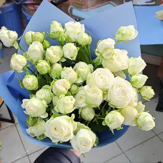 BeautyWhite