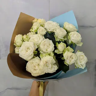 Gentle White