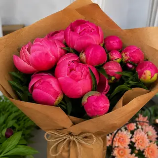 პიონი (ჰოლანდიური ჯიში)