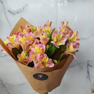 ასტრო
