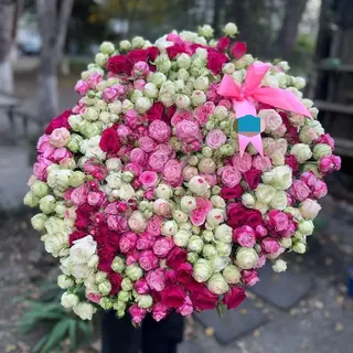 101 Spray Roses
