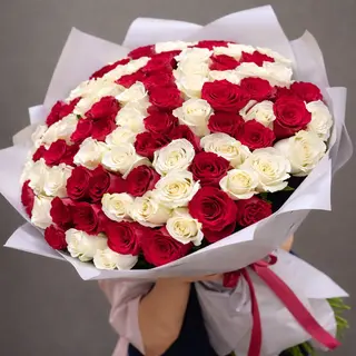 Beautiful ROSES