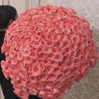 Pink Roses