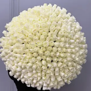 365 Days