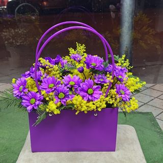 ჩანთა იასამანი