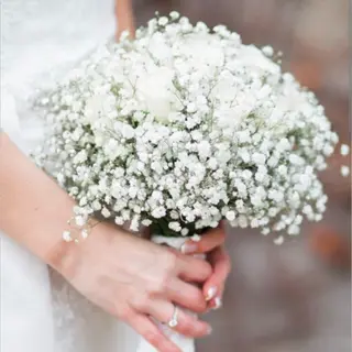 Dream in White