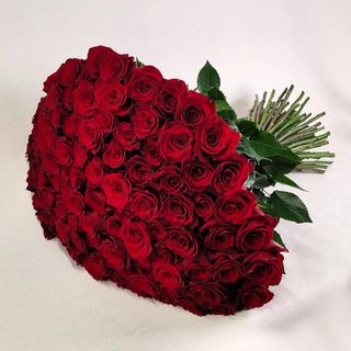 101 Premium Roses