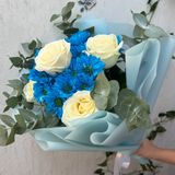 ქრიზანთემა ვარდი / Chrysanthemum Rose (ლურჯი/Blue)