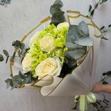 ქრიზანთემა ვარდი / Chrysanthemum Rose (თეთრი/White)