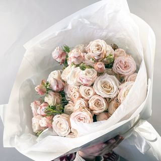 მადამ ბომბასტიკი 10 3182