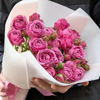მისტი ბაბლსი 5 1237