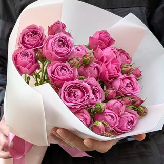 მისტი ბაბლსი 5 1237