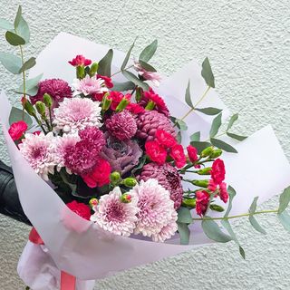 ბრასიკა და დიანთუსის ბუჩქი 1223