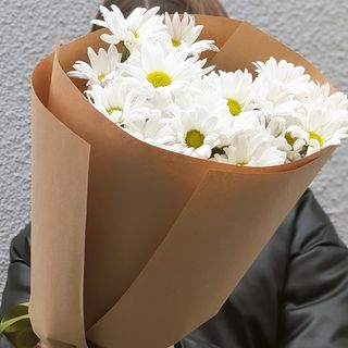 თეთრი ქრიზანთემები 5 1243