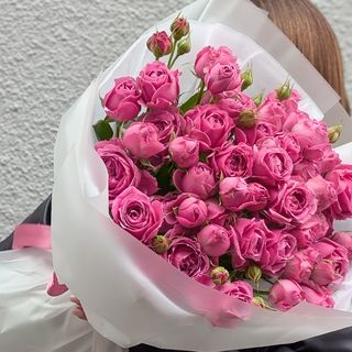 მისტი ბაბლსი 15 1239