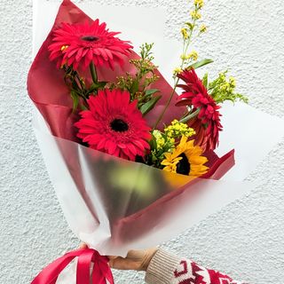 წითელი გერბერები და მზესუმზირა 1248