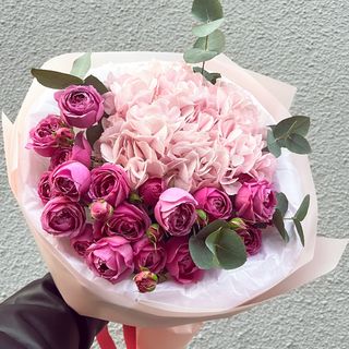 ჰორტენზია და მისტი ბაბლსი 1182