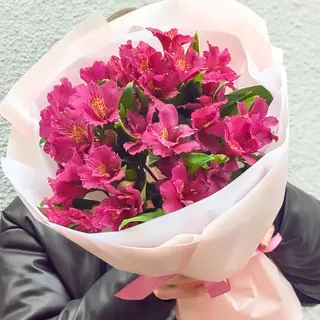 ალსტრომერია 7 1246