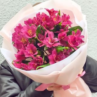 ალსტრომერია 7 1246