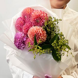 სკოლაში დაბრუნება 3083