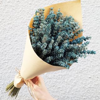 ლავანდა №1 3204