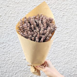 ლავანდა №2 3205